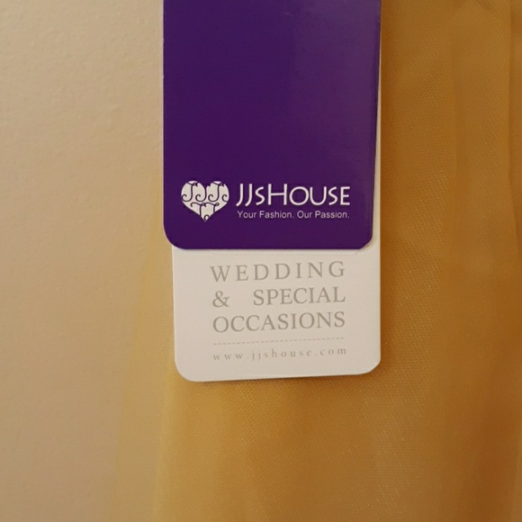 Gold Tulle over Chiffon Dress - Picture 2 of 3